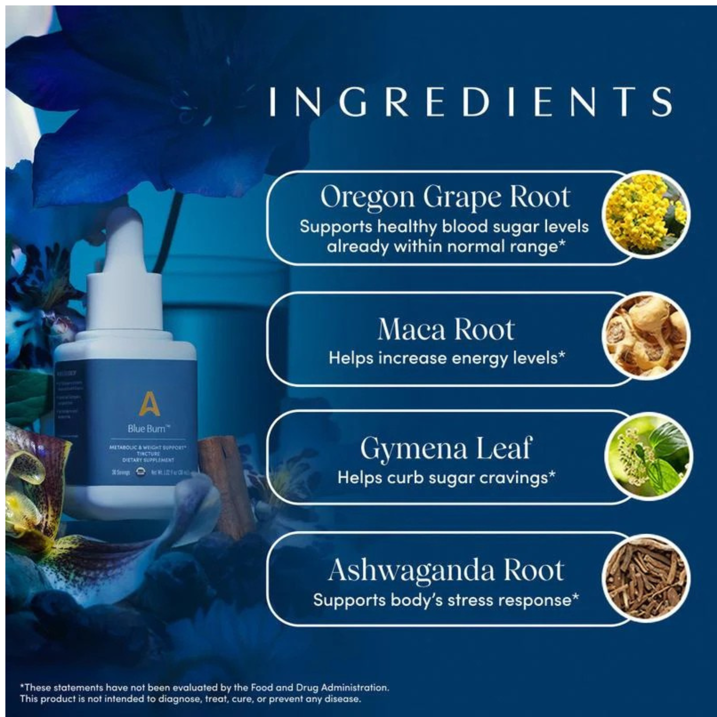 Metabolic Support Herbal Drops