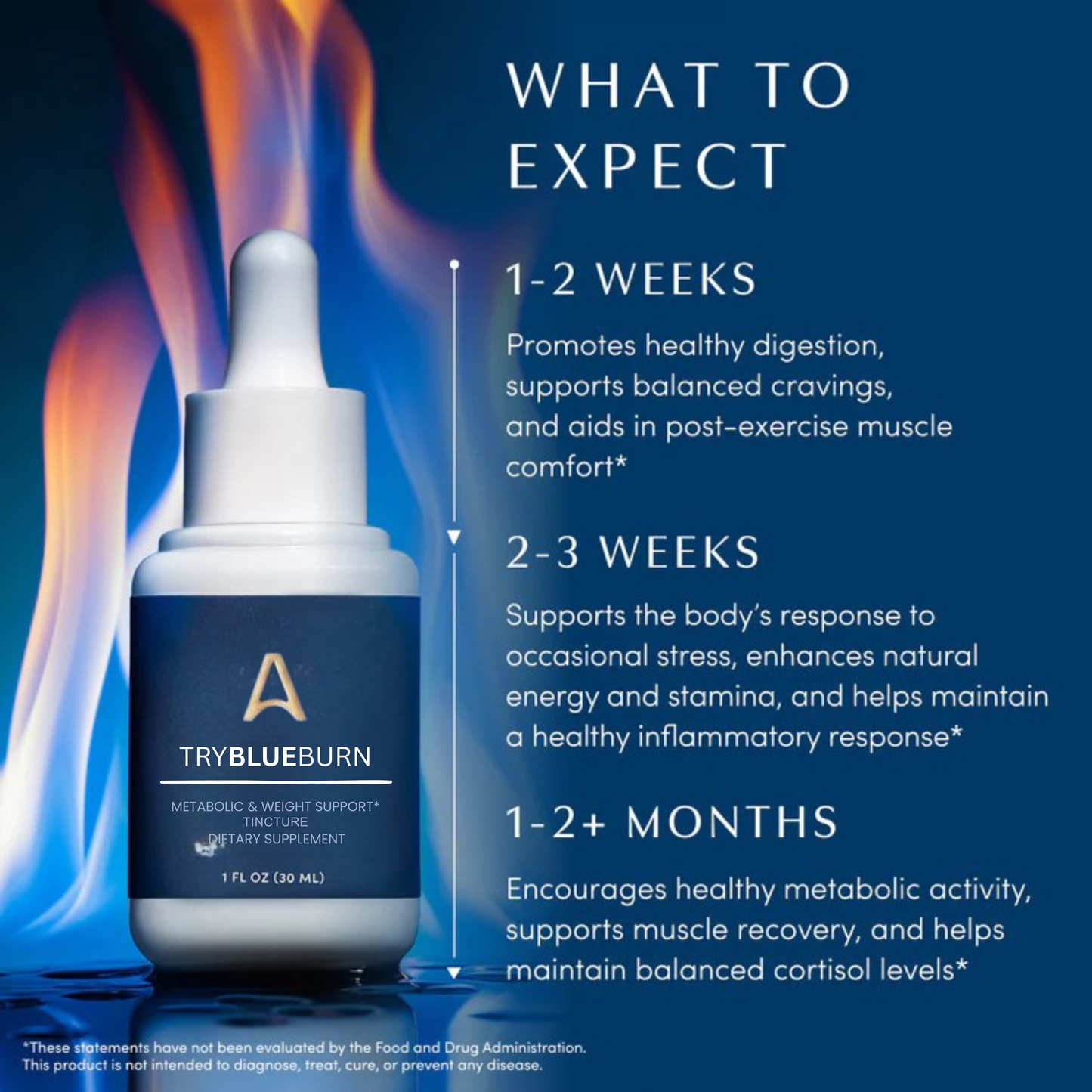 Metabolic Support Herbal Drops